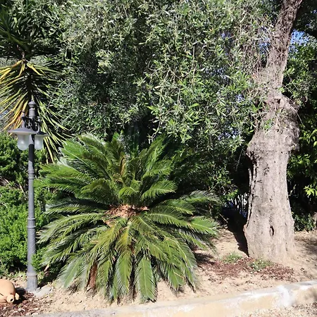 Vila Casa Aroma Limone, Pet Friendly